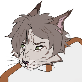 headshot not shaded