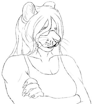sketch